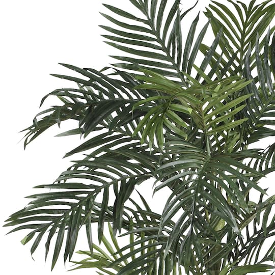 6.5ft. Potted Golden Cane Palm Tree